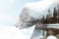 Polar bear background, nature landscape, remixed media design psd