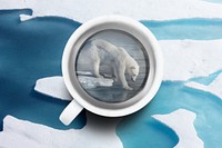 Polar bear background, cup remixed media design psd