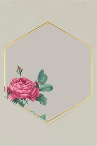 Hexagon frame with pink rose element