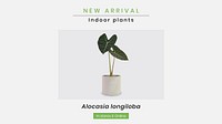 Online houseplant shop template vector for new arrival