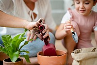 Kid DIY plant potting at home with mom