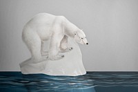 Polar bear on melting ice background