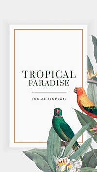 Tropical social story template vector