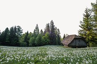 Chalet among flower field border collage element, nature design psd