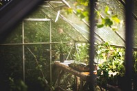 The inside of a greenhouse with small potted plants on the shelves. Original public domain image from <a href="https://commons.wikimedia.org/wiki/File:Cozy_greenhouse_(Unsplash).jpg" target="_blank" rel="noopener noreferrer nofollow">Wikimedia Commons</a>
