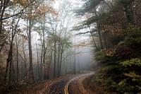 An empty leaf-covered road winding through an autumn forest in Blowing Rock. Original public domain image from Wikimedia Commons