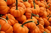 Stack of small orange pumpkins and gourds at an autumn market. Original public domain image from <a href="https://commons.wikimedia.org/wiki/File:Halloween_Pumpkins_(Unsplash).jpg" target="_blank" rel="noopener noreferrer nofollow">Wikimedia Commons</a>