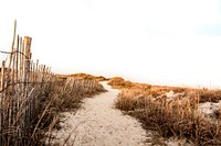 Excellent landscape featuring sand dune and dry grass at Atlantic beach. Original public domain image from Wikimedia Commons