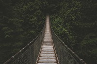 An empty suspension bridge leading to a dense forest. Original public domain image from <a href="https://commons.wikimedia.org/wiki/File:Bridge_into_a_green_thicket_(Unsplash).jpg" target="_blank" rel="noopener noreferrer nofollow">Wikimedia Commons</a>