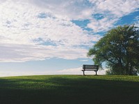 Bench in a park. Original public domain image from <a href="https://commons.wikimedia.org/wiki/File:Edge_of_America_(Unsplash).jpg" target="_blank">Wikimedia Commons</a>