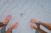 Two people's feet in the sea, next to a starfish. Original public domain image from <a href="https://commons.wikimedia.org/wiki/File:Starfish_in_water_(Unsplash).jpg" target="_blank" rel="noopener noreferrer nofollow">Wikimedia Commons</a>