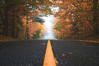 A fall road lined with trees with red and orange leaves in King City. Original public domain image from Wikimedia Commons