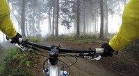 Cyclist in a misty woods. Original public domain image from <a href="https://commons.wikimedia.org/wiki/File:Alexandra_Dech_2015_(Unsplash).jpg" target="_blank">Wikimedia Commons</a>