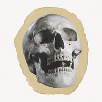 Human skull ripped paper, Halloween decor graphic