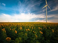 Sunflower field with wind turbine and cloudy blue sky. Original public domain image from Wikimedia Commons