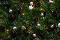 Christmas tree. Original public domain image from Wikimedia Commons