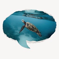 Sea turtle, ripped paper speech bubble, animal image