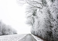 A winter road with snow covered trees running alongside, taken in Estavayer-le-Lac in Switzerland. Original public domain image from Wikimedia Commons