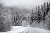 Snow covered road through the pine forest covered in snow during winter in Gäddede. Original public domain image from Wikimedia Commons