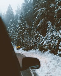 Driving around a turn on a forest road in the winter at Lake Arrowhead in California. Original public domain image from Wikimedia Commons