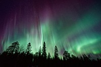 Aurora borealis on a night sky over silhouettes of trees. Original public domain image from <a href="https://commons.wikimedia.org/wiki/File:Polar_lights_over_dark_trees_(Unsplash).jpg" target="_blank" rel="noopener noreferrer nofollow">Wikimedia Commons</a>