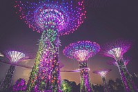 Multicolored light on posts. Original public domain image from Wikimedia Commons