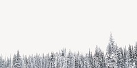 Winter forest trees border, nature background psd