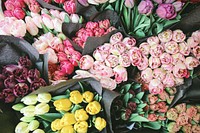 An overhead shot of many-colored bouquets of tulips squeezed close together. Original public domain image from <a href="https://commons.wikimedia.org/wiki/File:Tulips_in_the_flowermarket_(Unsplash).jpg" target="_blank" rel="noopener noreferrer nofollow">Wikimedia Commons</a>