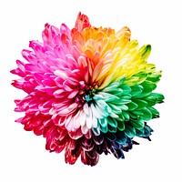 Multicolored flower illustration. Original public domain image from Wikimedia Commons