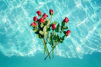 Red roses on teal background. Original public domain image from <a href="https://commons.wikimedia.org/wiki/File:2775_Mesa_Verde_Dr_E,_Costa_Mesa,_United_States_(Unsplash).jpg" target="_blank">Wikimedia Commons</a>