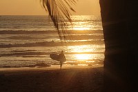 Surfer carrying his board at sunset. Original public domain image from Wikimedia Commons