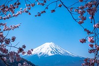 Blooming pink blossom branches with Fuji Mountain in the background. Original public domain image from <a href="https://commons.wikimedia.org/wiki/File:JJ_Ying_2017_(Unsplash).jpg" target="_blank">Wikimedia Commons</a>