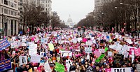 Women’s March 2017 - Pennsylvania Ave. Original public domain image from Wikimedia Commons