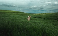 Woman amidst green field. Original public domain image from Wikimedia Commons