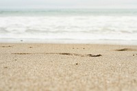 Beach sand focused with sea foam unfocused in the background. Original public domain image from <a href="https://commons.wikimedia.org/wiki/File:Focused_sand_beach_(Unsplash).jpg" target="_blank" rel="noopener noreferrer nofollow">Wikimedia Commons</a>