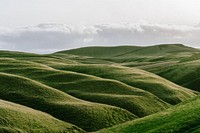 Green rolling hills of grass on a cloudy day. Original public domain image from Wikimedia Commons