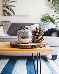 A couch with throw pillows and blankets and a table with an aquarium filled with pinecones on top of it. Original public domain image from Wikimedia Commons