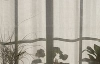 Shadow of the window frame and plants in pots on the white curtain in Nordfjordeid. Original public domain image from <a href="https://commons.wikimedia.org/wiki/File:Window_frame_shadow_on_a_curtain_(Unsplash).jpg" target="_blank" rel="noopener noreferrer nofollow">Wikimedia Commons</a>