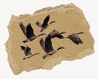Flying geese, ripped paper collage element
