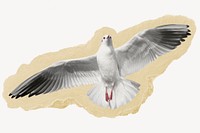 Flying gull, bird on torn paper