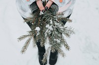 Person holding green pine plant with snow. Original public domain image from Wikimedia Commons