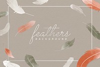 Beautiful feather frame background vector