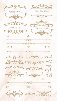 Premium vintage golden ornamental design element collection vector