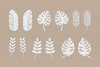 White tropical leaves on brown background vector collection