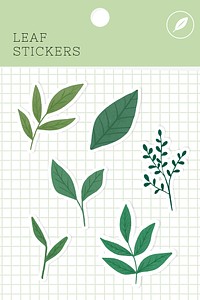 Leaf stickers package vector