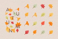 Autumn foliage  design elements vector set