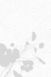 Floral shadow on white marble background vector