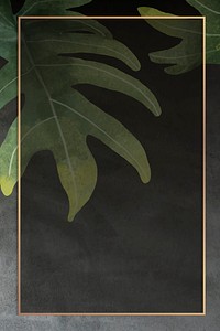 Gold frame with philodendron radiatum leaf pattern on grunge black background vector