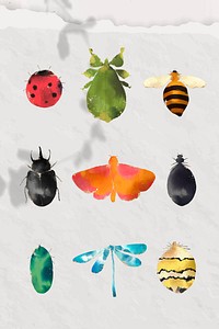 Cute watercolor insects collection vector