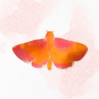 Cute watercolor moth vector